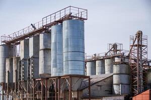 silos granary elevator on agro-industrial complex with seed cleaning and drying line for grain storage photo