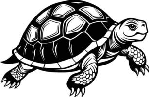 black silhouette of turtle illustration on white background vector