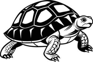 black silhouette of turtle illustration on white background vector