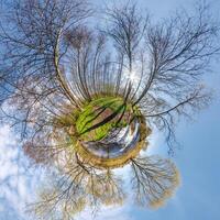 tiny planet transformation of spherical panorama 360 degrees. Spherical abstract aerial view with trees in forest with clumsy branches in blue sky. Curvature of space. photo