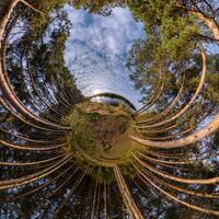 tiny planet transformation of spherical panorama 360 degrees. Spherical abstract aerial view with trees in forest with clumsy branches in blue sky. Curvature of space. photo