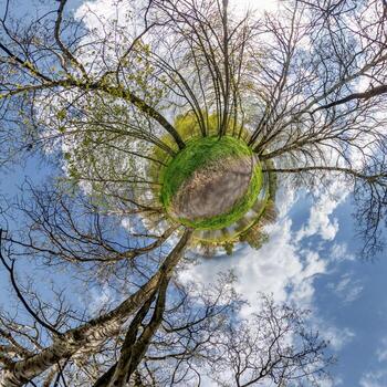 tiny planet transformation of spherical panorama 360 degrees. Spherical abstract aerial view with trees in forest with clumsy branches in blue sky. Curvature of space. photo