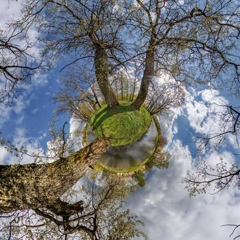 tiny planet transformation of spherical panorama 360 degrees. Spherical abstract aerial view with trees in forest with clumsy branches in blue sky. Curvature of space. photo
