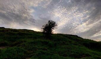 Beautiful sky with doted clouds pattern during sunset photo
