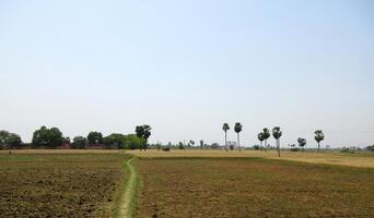 Seed Sowing process completed in-plane farmland situated in northern planes of India photo