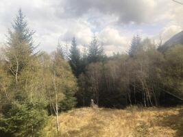 A view of the Scotland Countryside from the top of the Nevis Range photo