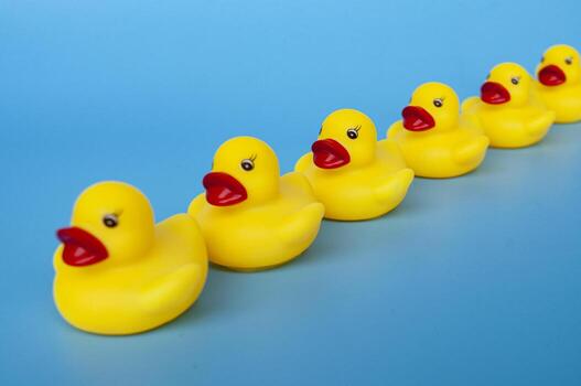 Side view of rubber ducks in line with customizable space for text photo