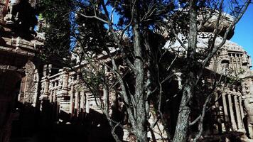 Tree Standing in Front of Stone Building video