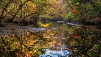 peaceful day, a calm river photo