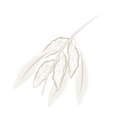 Illustration logo line art dried goji berries