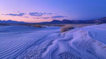 An broad view of a peaceful nature setting at dusk. photo