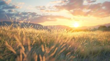 peaceful field with flowing wild grasses photo