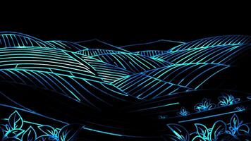 Neon frame effect rows of tea plants arranged ,Sri Lanka, glow, black background. video