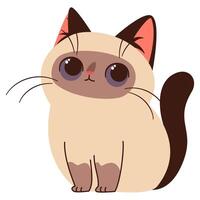 Cute Siamese cat kitten, flat illustration on white background in cartoon style vector