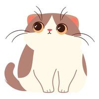 Cute lop-eared kitten of Scottish breed, flat illustration on white background in child style vector