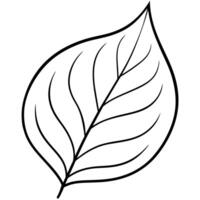 leaf outline coloring book page line art illustration digital drawing vector