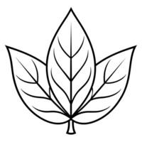 leaf outline coloring book page line art illustration digital drawing vector