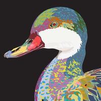 Colorful Mandarin duck head isolated surrealism graphic illustrated on black background. vector