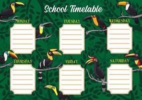 School timetable or schedule template with toucans vector