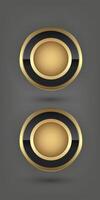 Two Encircling the golden circles is a sleek black ring bordered by thin golden edges. adding to the elegant design vector
