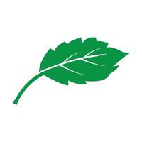 Leaf icon design vector
