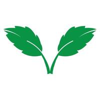 Leaf icon design vector
