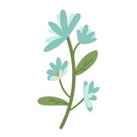 An elegant branch decorated with bright blue flowers on a green trunk with leaves. Flat color illustration. It can be used including greeting cards, invitations, social media graphics and home decor vector