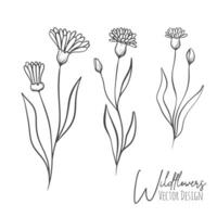 Set of line art wildflowers and grass illustration. Handdrawn botanical contour outline of for wedding, invitation, save the date, card. Trendy elegant greenery collection for web, print, posters. vector