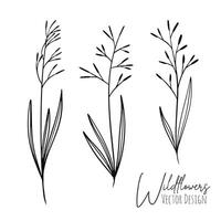 Set of line art wildflowers and grass illustration. Handdrawn botanical contour outline of for wedding, invitation, save the date, card. Trendy elegant greenery collection for web, print, posters. vector