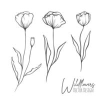 Set of line art wildflowers and grass illustration. Handdrawn botanical contour outline of for wedding, invitation, save the date, card. Trendy elegant greenery collection for web, print, posters. vector