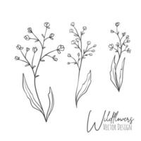 Set of line art wildflowers and grass illustration. Handdrawn botanical contour outline of for wedding, invitation, save the date, card. Trendy elegant greenery collection for web, print, posters. vector