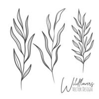 Set of line art wildflowers and grass illustration. Handdrawn botanical contour outline of for wedding, invitation, save the date, card. Trendy elegant greenery collection for web, print, posters. vector