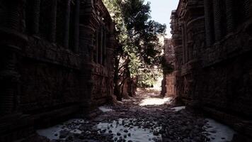 A narrow alley way with trees and snow on the ground video