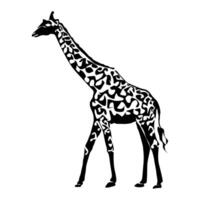 Giraffe dBlack giraffe silhouette front view flat style, illustration isolated on white background. Savanna funny animal with long neckay.cdr vector