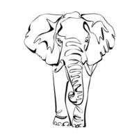 One continuous line drawing of a elephant. Single line draw design graphic illustration. vector