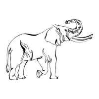 One continuous line drawing of a elephant. Single line draw design graphic illustration. vector