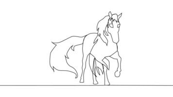 Self drawing one line draw a horse. Minimalism, One line draw vector