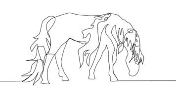Self drawing one line draw a horse. Minimalism, One line draw vector