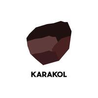 Map Of Karakol City Modern Simple Geometric, illustration design template vector