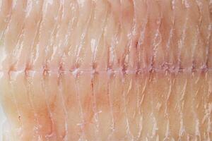 fish fillet raw white giant sea bass filleting fresh cooking meal food snack on the table copy space food background rustic top view photo