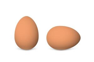 Two realistic brown eggs isolated vector