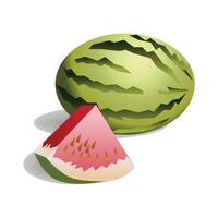 Watermelon Fruit Illustration vector