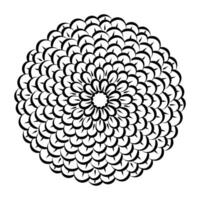 Linear Flower. Simple line art. Doodle ornament outline hand drawn illustration vector
