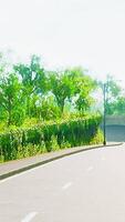 View of empty road with lamp post and sunlight video