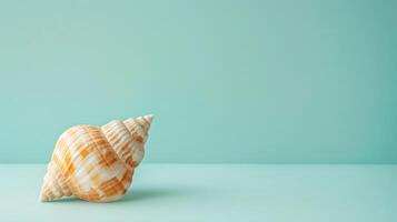 Seashell on a pastel mint background with ample copyspace, evoking coastal tranquility photo