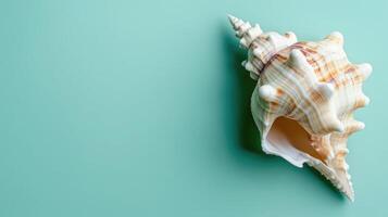 Artistic seashell on a pastel mint background with generous copyspace photo