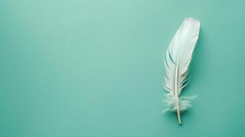 Artistic feather quill pen on a mint green background with generous copyspace photo