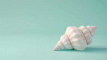Pastel mint background featuring a seashell, perfect for copyspace photo