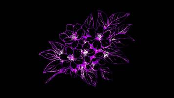 Neon frame effect jasmine flowers with leaves, black background. video