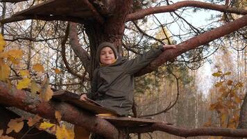 the boy climbed and sits on a pine tree in the autumn forest video